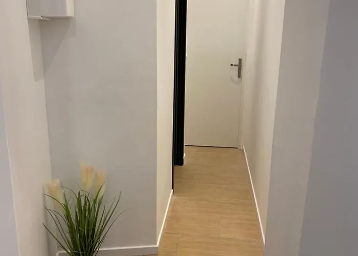 Avec Terrasse Centre Historique Périgueux